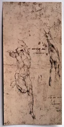 Homme nu, étude de bras