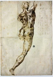 Nu de dos, c. 1504