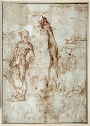 Étude de nu. Michelangelo Buonarroti dit Michel-Ange