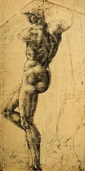 Étude de nu; dessin de Michel-Ange. Musée du Louvre, Paris