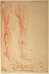 Études de jambes et de bras