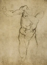 Étude pour un buste masculin