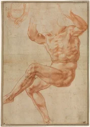 Étude pour le Jeune Homme Nu au-dessus du Prophète Daniel (recto)