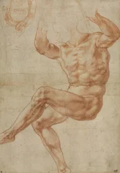 Étude pour le jeune homme nu au-dessus du prophète Daniel, pour le plafond de la chapelle Sixtine, 1510-11