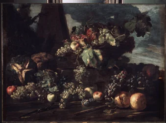Nature morte au raisin