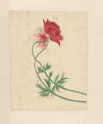 Deux branches avec chacune une fleur