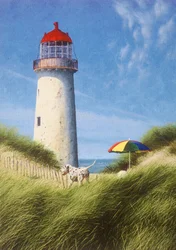 Journée dans les dunes