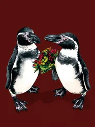 Pingouins d
