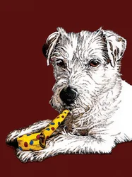 Chien Parson Anniversaire sur Oxyde Rouge, 2020