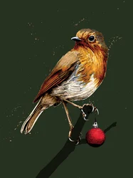 Rouge-gorge de Noël sur fond vert forêt, 2020