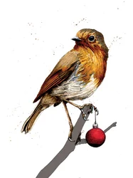 Rouge-gorge de Noël sur blanc, 2020