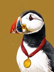 Félicitations macareux sur jaune doré, 2020