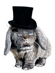 Lapin Bonbon sur Blanc, 2020