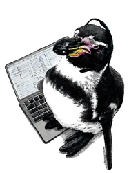 Nouveau travail pingouin sur fond blanc, 2020