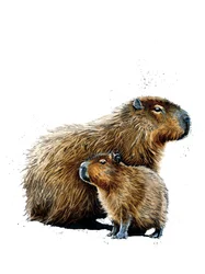 Les Capybaras sur blanc, 2019