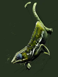 Le Caméléon sur vert forêt, 2020
