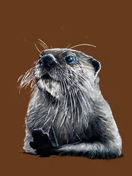 La loutre sur fond orange brûlé, 2020