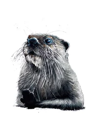 La loutre sur fond blanc, 2020