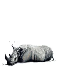 Le Rhinocéros sur Blanc