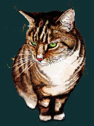 Le Chat Tigré sur Cyan Profond, 2020