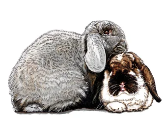 Pensant aux lapins sur blanc, 2020