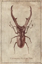Illustration d
