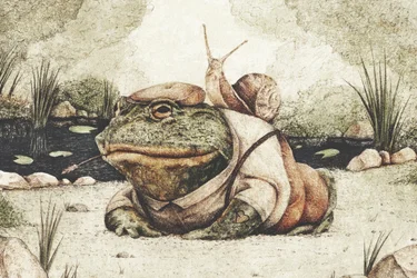 Une grenouille en tenue de ville