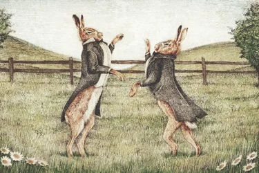 Combat entre gentlemen