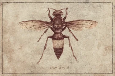 Illustration d
