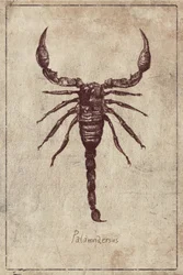 Palmarès par espèce