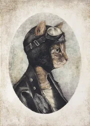 Un chat élégant vêtu d