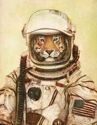 Un tigre dans une combinaison d