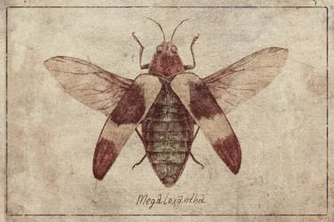 Illustration vintage d