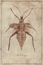 Illustration vintage d