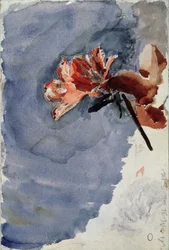 Azalée rouge, 1886-1887