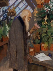 Portrait du scientifique Charles Robert Darwin examinant des plantes dans la serre Langdon-Down