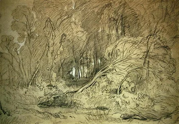 Clairière dans un bois