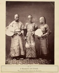 Un mandarin et ses amis