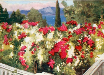 La Pergola des Roses, l