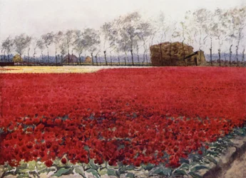 "Dont les feuilles avec leur éclat cramoisi cachent le cœur qui brûle et noircit en dessous"