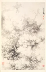 Dragon parmi les nuages