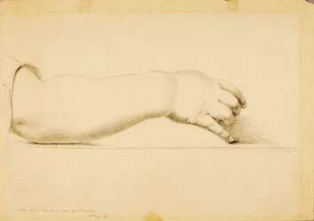 Bras de l