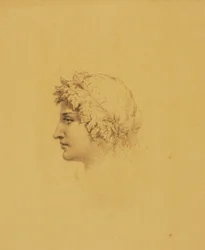 Tête idéale pour l