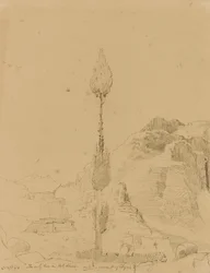 Chêne sur le mont Sinaï