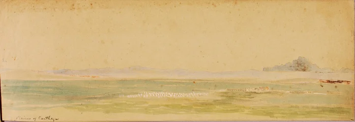 Plaines de Carthage