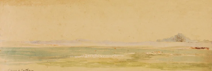 Plaines de Carthage