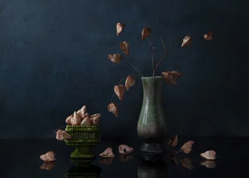 Nature morte botanique sombre