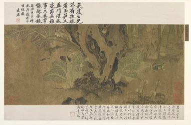 Bambou, grenouille et insectes