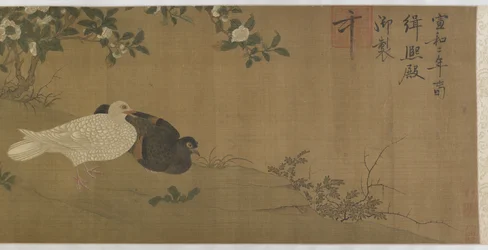 Camelias, pigeons et oiseaux chanteurs