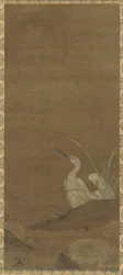 Hérons et plantes aquatiques